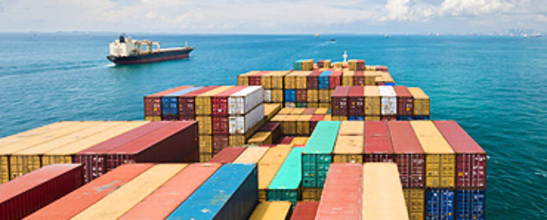 La nouvelle référence en emballage maritime dans le Nord de la France